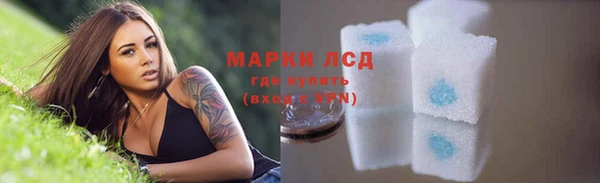 тгк Володарск