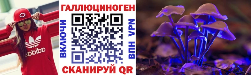 Купить где  Кувшиново  Псилоцибиновые грибы MAGIC MUSHROOMS 